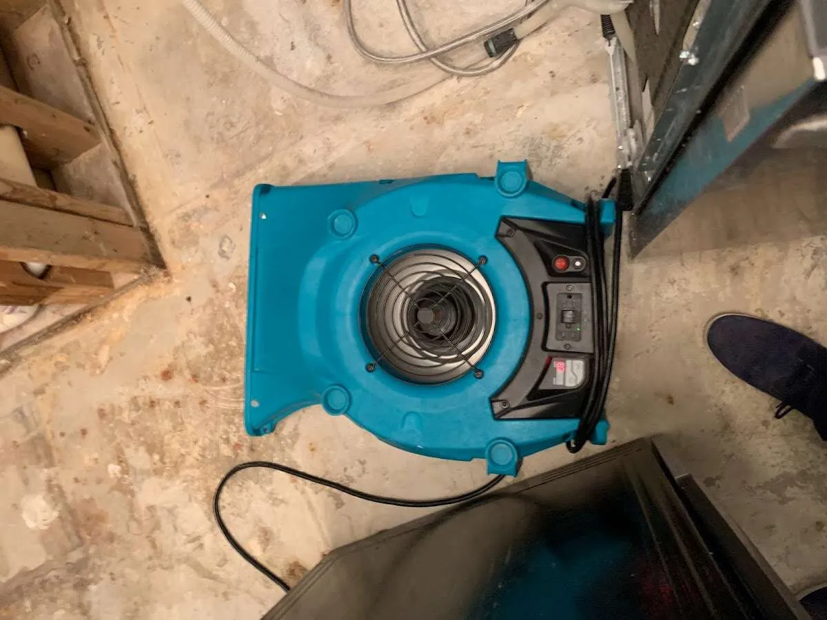 Air mover drying equipment for Mold Remediation & Removal in Joppatowne